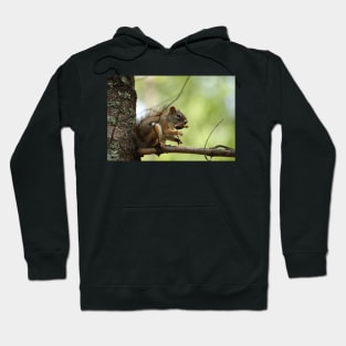 Red Squirrel Hoodie